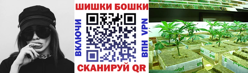 где купить наркотик  Шатура  kraken сайт  Каннабис план 